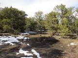 11970 Diamond View Rd - Photo 18