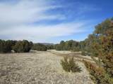 11970 Diamond View Rd - Photo 3