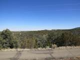 11970 Diamond View Rd - Photo 5