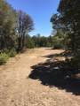 11970 Diamond View Rd - Photo 8
