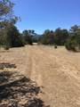11970 Diamond View Rd - Photo 9