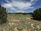 Lot 11 Old West Court - Photo 10