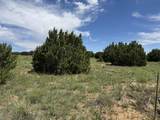 Lot 11 Old West Court - Photo 12