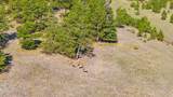 2299 Co Rd 328 - Photo 38
