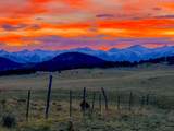 2299 Co Rd 328 - Photo 41