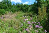 TBD Lot 7 Tres Valles - Photo 12