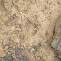 Unassigned Minehart Rd - Photo 10