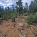 Unassigned Minehart Rd - Photo 16