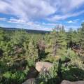 Unassigned Minehart Rd - Photo 18