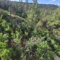 Unassigned Minehart Rd - Photo 19