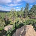 Unassigned Minehart Rd - Photo 20