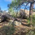 Unassigned Minehart Rd - Photo 21