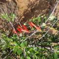Unassigned Minehart Rd - Photo 22