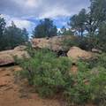 Unassigned Minehart Rd - Photo 3