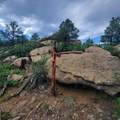 Unassigned Minehart Rd - Photo 5