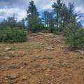 Unassigned Minehart Rd - Photo 6