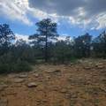Unassigned Minehart Rd - Photo 9