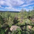 Unassigned Minehart Rd - Photo 1