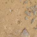 Unassigned Minehart Rd - Photo 11