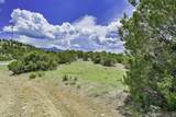 TBD Stone Ridge Phase 11 - Photo 11