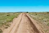 25 La Deora Blvd - Photo 8