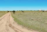 25 La Deora Blvd - Photo 9