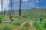 TBD Lot 4A La Veta Ranch - Photo 15