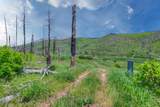 TBD Lot 4A La Veta Ranch - Photo 16