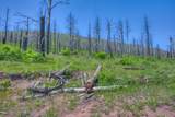 TBD Lot 4A La Veta Ranch - Photo 18