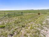 TBD Sikes Drive - Photo 2