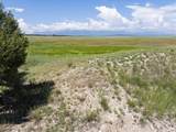 TBD Sikes Drive - Photo 7