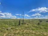 19 Majors Ranch - Photo 8