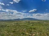 19 Majors Ranch - Photo 9