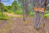 21540 Ridge Line Drive - Photo 30