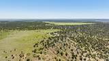 5400 Turtle Butte Rd - Photo 31