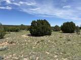 Lot 809 Rio Cucharas Phs 3 - Photo 11