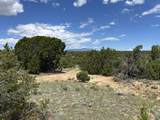 Lot 809 Rio Cucharas Phs 3 - Photo 12