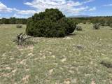 Lot 809 Rio Cucharas Phs 3 - Photo 3
