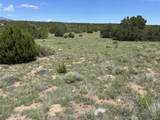 Lot 809 Rio Cucharas Phs 3 - Photo 6