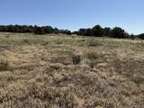 TBD Chickasaw Dr - Photo 10