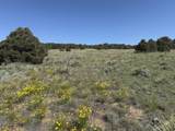 TBD Chickasaw Dr - Photo 14