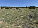 TBD Chickasaw Dr - Photo 16