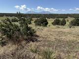 TBD Chickasaw Dr - Photo 18