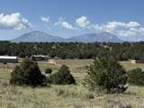 TBD Chickasaw Dr - Photo 2