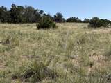 TBD Chickasaw Dr - Photo 8