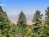 TBD Mosca Pass Rd - Photo 11