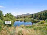 TBD Mosca Pass Rd - Photo 19
