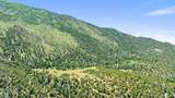 TBD Mosca Pass Rd - Photo 2