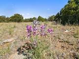 TBD Mosca Pass Rd - Photo 26