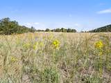 TBD Mosca Pass Rd - Photo 28
